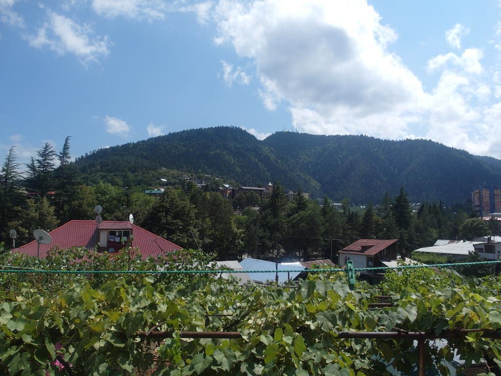 Villa Lazika Borjomi Room photo